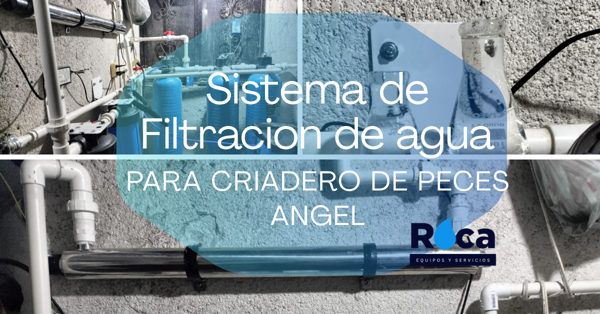 Criadero de Peces Ángel